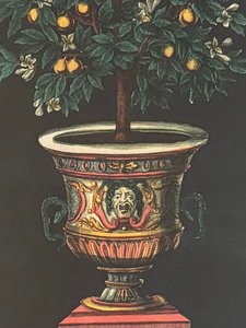 lot 115 image: Decorative Botanical Print