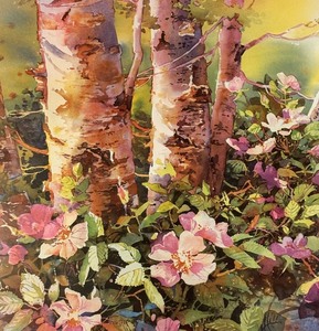 lot 250 image: Wild Roses Framed Print by Rose Edin