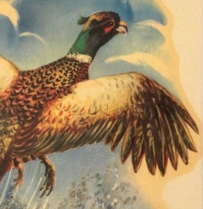 lot 257 image: Vintage Bird and Hunting Dog Framed Print