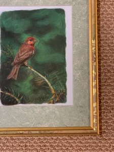 lot 312 image: Pretty Vintage Framed Bird Print