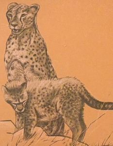 lot 315 image: Outstanding Framed Print of Leopards on Color Background
