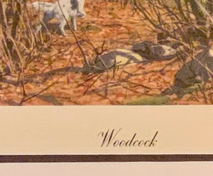 lot 321 image: Vintage Framed Hunting Print, Woodcock