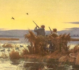 lot 265 image: Ducks Framed Print by Aiden Lassell