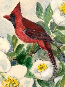 lot 290 image: Original Cardinal Framed Drawing by Aline Coney