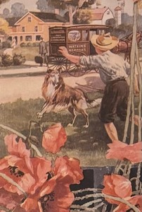 lot 418 image: Watkins Almanac 1916 Framed Print
