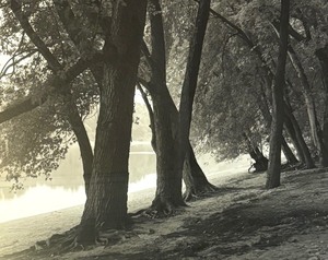 lot 427 image: Maple Grove on Mississippi River Framed Print by Mark Kawell
