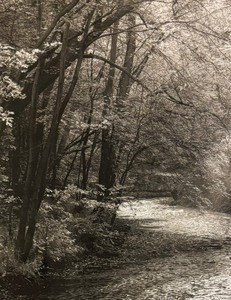 lot 429 image: Minnehaha Creek 1 Framed Print by Mark Kawell