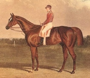 lot 501 image: Vintage Framed Plenipotentiary Horse Print