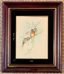 lot 337 image: Beautiful Set of Framed Bird Prints by J. Gould