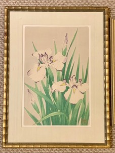 lot 369B image: Gorgeous Vintage Floral Watercolor Framed Print and Original Watercolor
