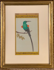 lot 371B image: Stunning Vintage Bird Prints from Various Places and Artists, Including Louis Agassiz Fuertes and India