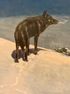 lot 142 image: Vintage Framed Lone Wolf Print by Alfred Wierusz Kowalski