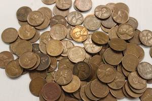 Approx. 100 Wheat Back Pennies