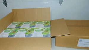 Plant Best Fresh Food Salad 6 Pot Planter Growing  Kits - 2 Cases of 6