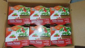 Plant Best Grow Your Own - Tomato - 2 Cases of 12