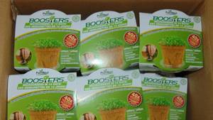 Plant Best Microgreen Booster Lettuce - 2 Cases of 12