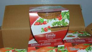 Plant Best Grow Your Own - Tomato - 2 Cases of 12
