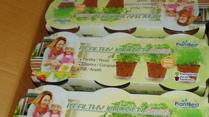Plant Best Healthy Kitchen Essentials Kit - 2 Cases of 12