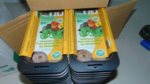 Planters Pride 10 Grow Pellet Greenhouse Kits - 2 Cases of 24