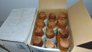Plant Best 2.25 Round Fiber Grow Pots 12 Packs - 2 Cases of 24(576 Pots)