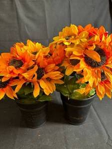 lot 138 image: Harvest Potted Orange Sunflowers - 2-Pack