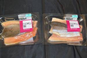 Case 4 Packs Frozen Rainbow Trout Filets - 3.27lb Net Weight