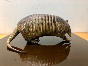lot 138 image: Genuine Taxidermy Armadillo 
