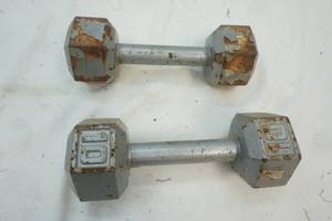 lot 448 image: 2-10lb Weights