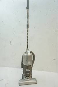 lot 806 image: Shark