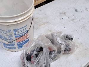 lot 243 image: Bucket with Assorted Wire Shelf Clips, Shelf Footings, Misc. Fasteners