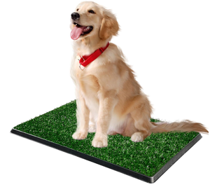 lot 217 image: Dog Grass Pad with Tray
