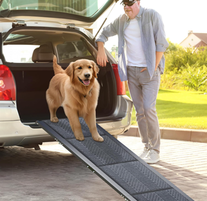 lot 238 image: Morpilot Dog Ramp for Car