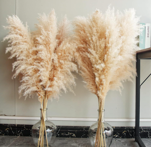 lot 268 image: 40 inch 10 Stems Natural Pampas Grass Decor Tall