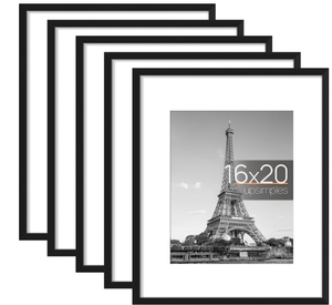 lot 313 image: upsimples 16x20 Picture Frame Set of 5