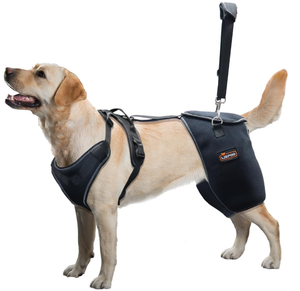 lot 321 image: XXL KERBIY LISPOO Dog Hip Support Brace for Hip Dysplasia,Hip Joint Pain, Hip Brace for Dogs with Low Back PainWeakness