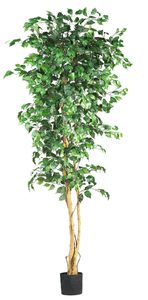 lot 480 image: 7ft. Ficus Artificial Tree