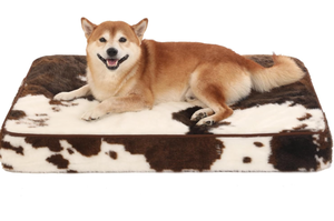 lot 523 image: Bedfolks 4 Thick Orthopedic Dog Bed for Large Dogs, 36L x 27W x 4Th