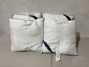 lot 570 image: Set of 4 Throw Pillows 20 x 20
