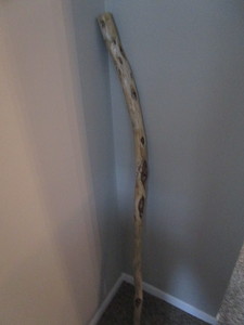 lot 185 image: Diamond Willow Walking Stick