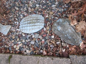 lot 239 image: Garden 3-Piece Crocodile