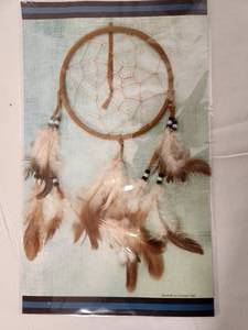 lot 21 image: Dream Catcher