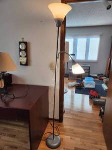 lot 300 image: Two Shade Adjustable Floor Lamp
