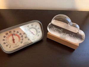 lot 165 image: Weather Predicting Storm Cloud Glass Decorative Paperweight and DeskWall Thermometer with Humidity Meter