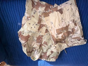 lot 378 image: Camo Pants and Jacket