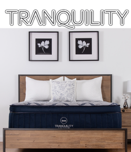 lot 1 image: Tranquility Sleep Systems 10 Plush Queen Mattress - MSRP $899.99 - No Reserve