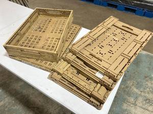 Lot of Six Collapsible Storage 16x24x4