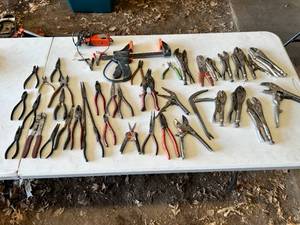 lot 89 image: Huge Variety Lot of Hand Tools & Chainsaw Sharpener - See Pictures