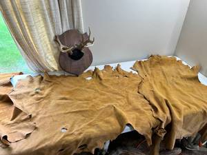 lot 197 image: Original Real Life Buckskins Lot with Buck Antlers - Lot
