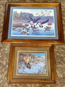 lot 217 image: Framed Wildlife Artwork - Foxe Goossee Canada - Good Deal
