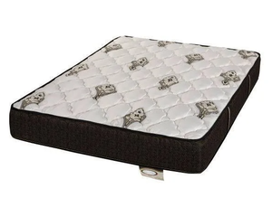 lot 19 image: Denver Mattress Doctors Choice Plush Queen Mattress
